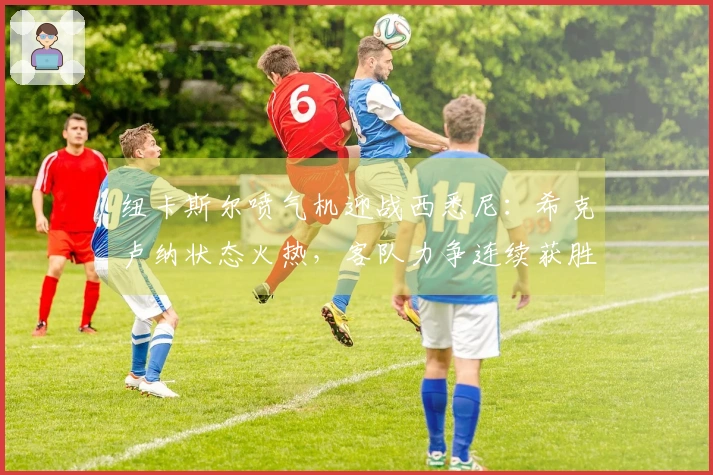 纽卡斯尔喷气机迎战西悉尼：希克卢纳状态火热，客队力争连续获胜