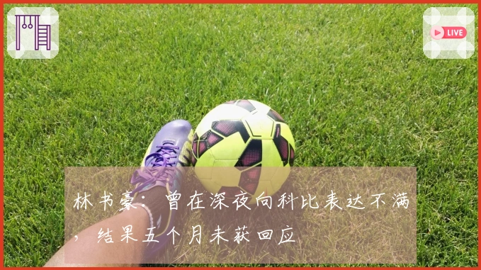 林书豪：曾在深夜向科比表达不满，结果五个月未获回应